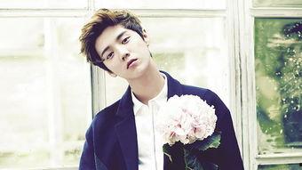 吃瓜娱乐鹿晗完整版